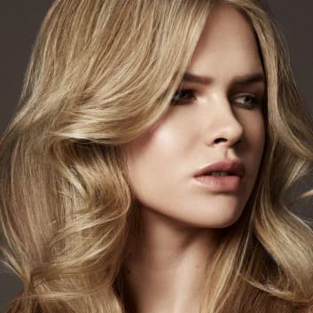 Signature Highlights